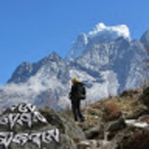 Meet your Posher, Yvonne